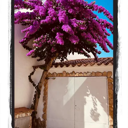 Casa Serenity Au Canal Avec Piscine Et Amarre * Empuriabrava
